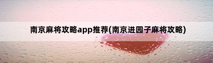 南京麻将攻略app推荐(南京进园子麻将攻略)