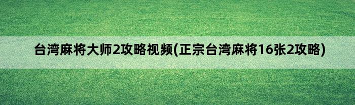 台湾麻将大师2攻略视频(正宗台湾麻将16张2攻略)