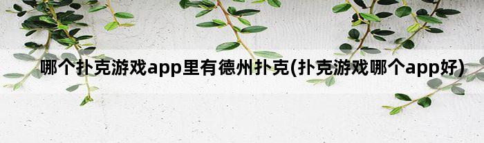 哪个扑克游戏app里有德州扑克(扑克游戏哪个app好)