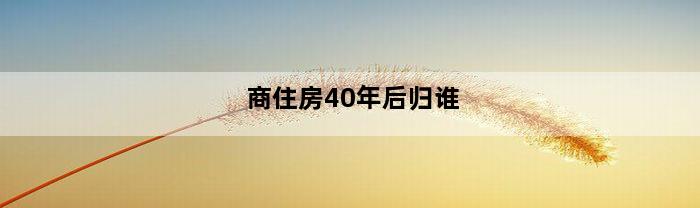 商住房40年后归谁