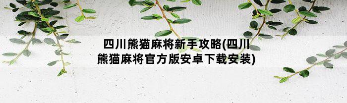 四川熊猫麻将新手攻略(四川熊猫麻将官方版安卓下载安装)