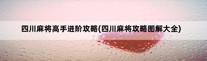 四川麻将高手进阶攻略(四川麻将攻略图解大全)