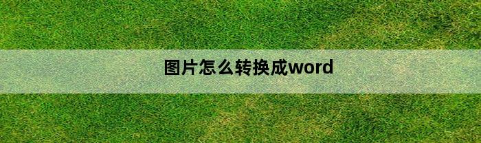 图片怎么转换成word