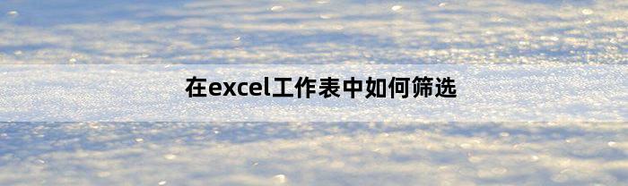 在excel工作表中如何筛选