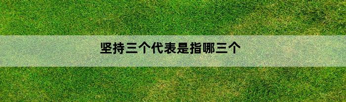 坚持三个代表是指哪三个