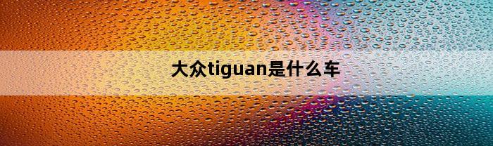 大众tiguan是什么车