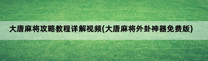 大唐麻将攻略教程详解视频(大唐麻将外卦神器免费版)