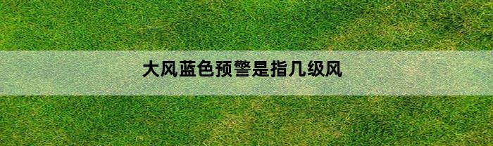 大风蓝色预警是指几级风