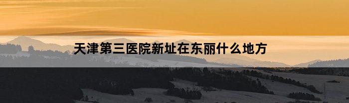 天津第三医院新址在东丽什么地方