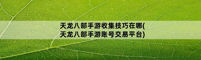 天龙八部手游收集技巧在哪(天龙八部手游账号交易平台)