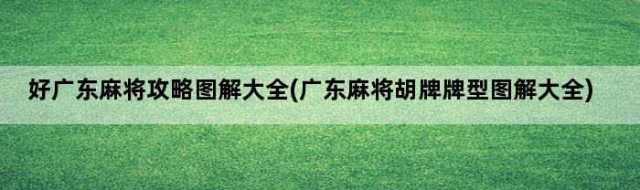 好广东麻将攻略图解大全(广东麻将胡牌牌型图解大全)