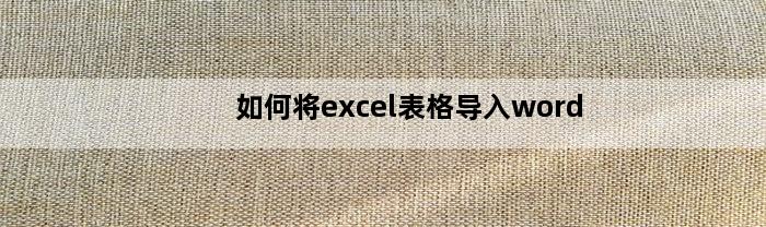 如何将excel表格导入word