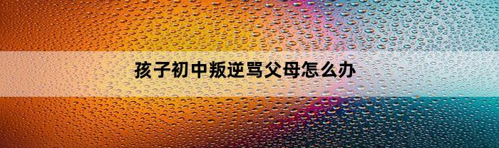 孩子初中叛逆骂父母怎么办