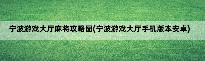 宁波游戏大厅麻将攻略图(宁波游戏大厅手机版本安卓)