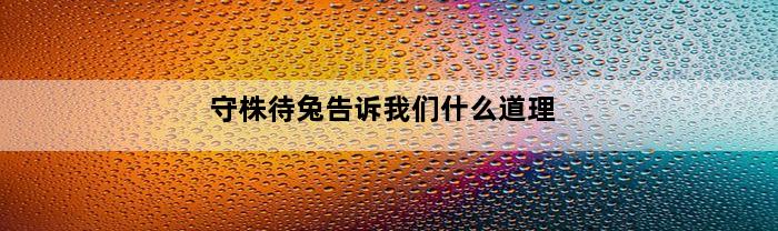 守株待兔告诉我们什么道理