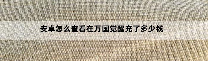 安卓怎么查看在万国觉醒充了多少钱