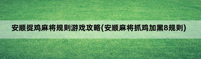 安顺捉鸡麻将规则游戏攻略(安顺麻将抓鸡加黑8规则)