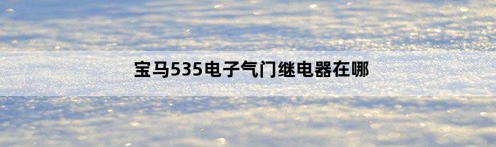 宝马535电子气门继电器在哪