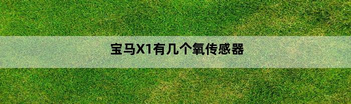 宝马X1有几个氧传感器