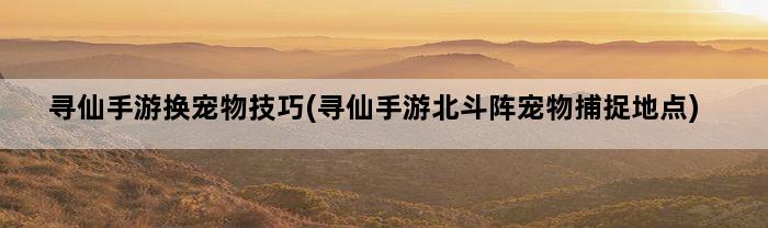 寻仙手游换宠物技巧(寻仙手游北斗阵宠物捕捉地点)