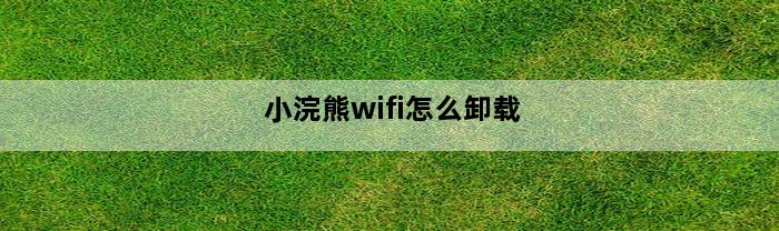 小浣熊wifi怎么卸载