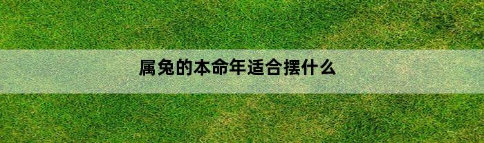 属兔的本命年适合摆什么