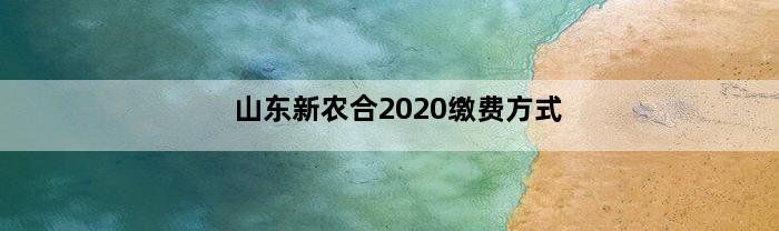 山东新农合2020缴费方式