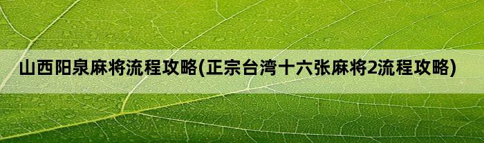 山西阳泉麻将流程攻略(正宗台湾十六张麻将2流程攻略)