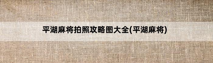 平湖麻将拍照攻略图大全(平湖麻将)