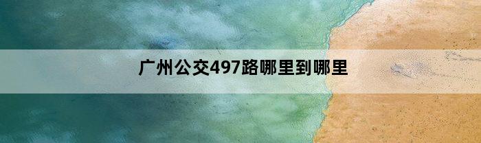 广州公交497路哪里到哪里