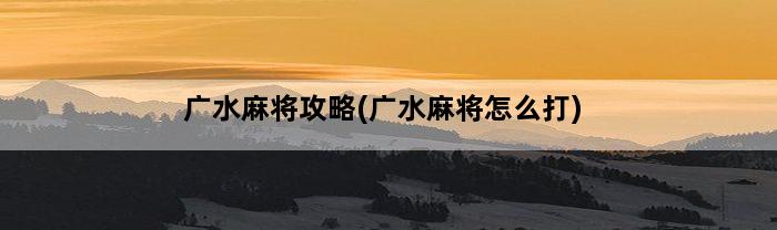 广水麻将攻略(广水麻将怎么打)