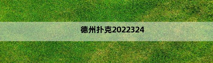 德州扑克2022324