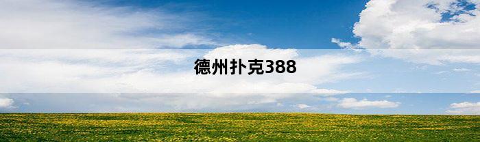 德州扑克388