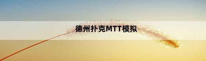 德州扑克MTT模拟