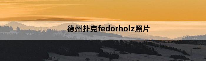 德州扑克fedorholz照片