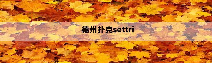 德州扑克settri