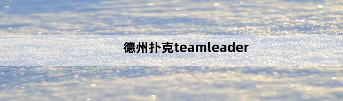 德州扑克teamleader