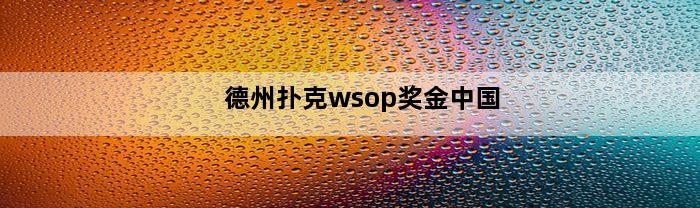 德州扑克wsop奖金中国