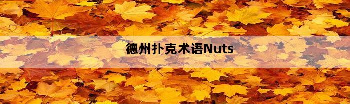 德州扑克术语Nuts