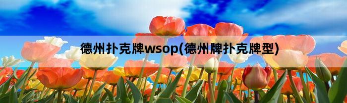 德州扑克牌wsop(德州牌扑克牌型)