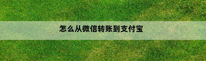 怎么从微信转账到支付宝