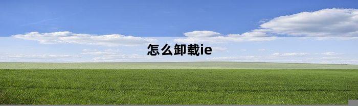 怎么卸载ie