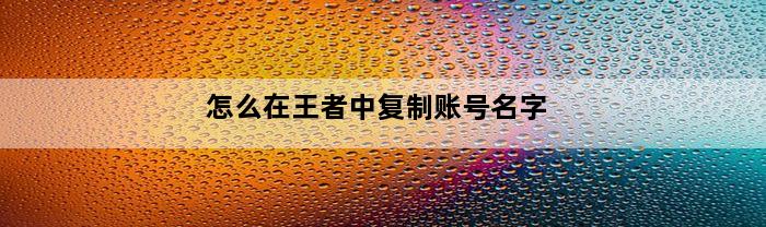 怎么在王者中复制账号名字