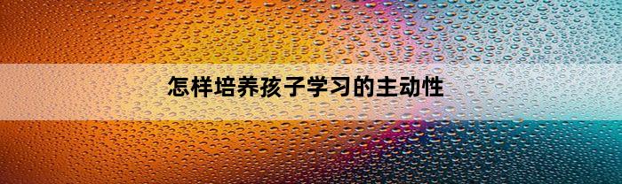 怎样培养孩子学习的主动性