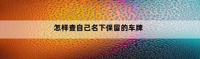 怎样查自己名下保留的车牌