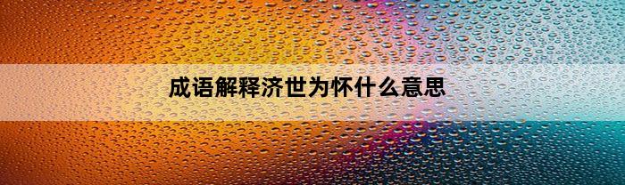 成语解释济世为怀什么意思