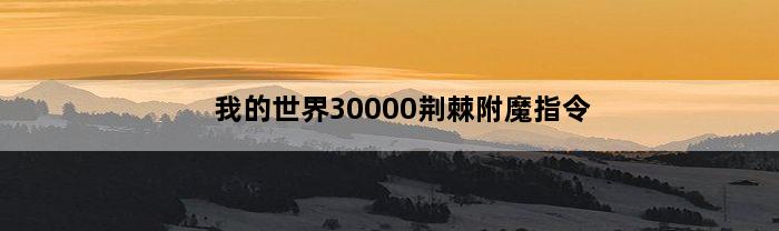 我的世界30000荆棘附魔指令