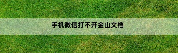 手机微信打不开金山文档