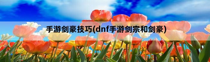 手游剑豪技巧(dnf手游剑宗和剑豪)