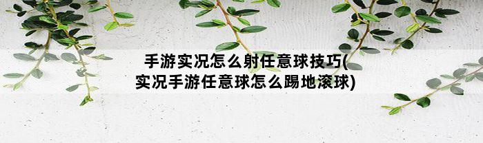 手游实况怎么射任意球技巧(实况手游任意球怎么踢地滚球)